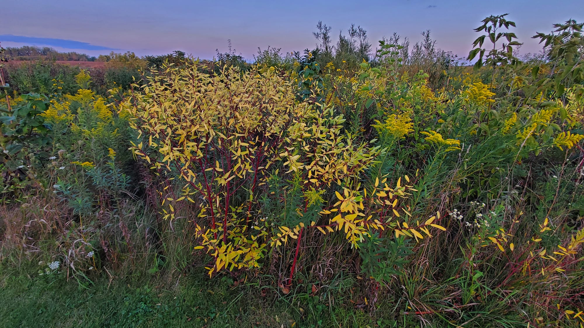 What is Spiritual Practice?