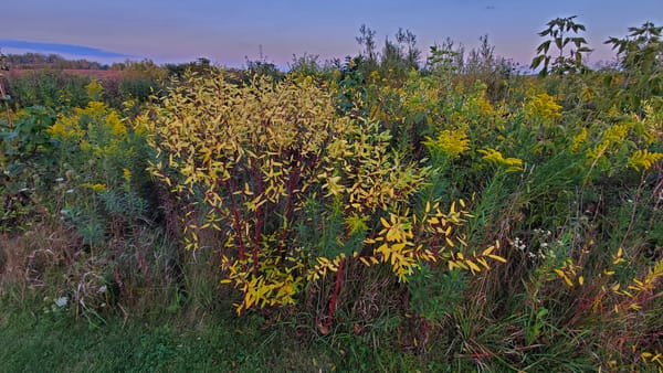 What is Spiritual Practice?