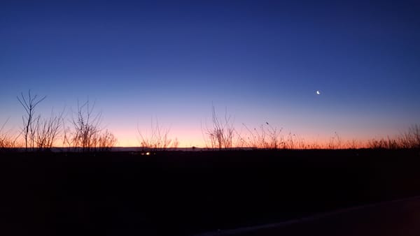 The Embodiment of Love